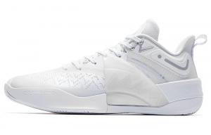 Баскетбольные кроссовки Poison Tooth PRO2.0SE мужские с низким верхом белого цвета Qiaodan