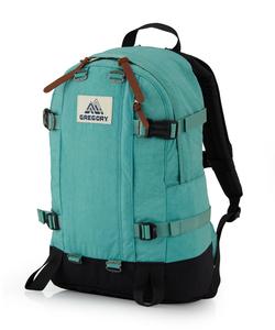 Рюкзак GREGORY All Day 22L