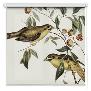 Рулонная штора Tulup Vögel auf dem Baum, 80 х 180 см