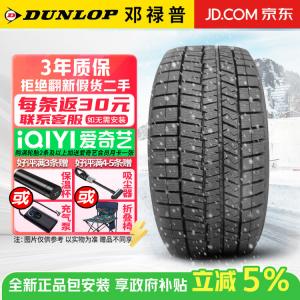 Dunlop Зимние шины 205/50R17 89S WM03, противогололедные, продаются только комплектом из 4 штук