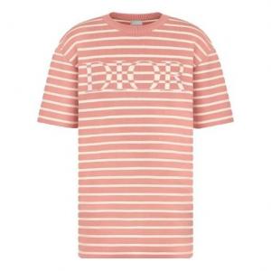 Футболка ss21 stripe letter pattern round collar male pink Dior, розовый