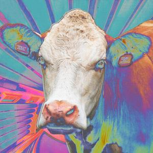 Виниловая пластинка Eyes Of Others: Eyes Of Others