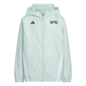 Adidas Куртка с капюшоном светло-зеленый/black