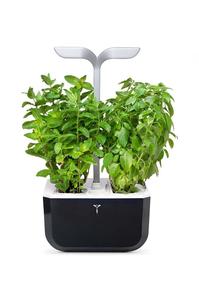 Настоящий автономный домашний сад Exky Smart Veritable, черный