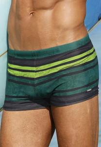 Шорты для плавания Chiemsee, зеленый