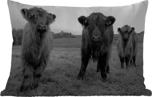 Подушка для улицы - Шотландский горный скот - Коровы - Натуральный - Зеленый - Трава - 60 x 40 см - Устойчива к погодным условиям - Подушка для отдыха - Декоративная подушка - Подушка для дома MuchoWow
