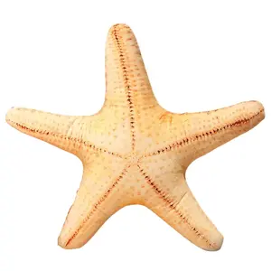 Мягкая милая кукла Creative Soft Cute Shell Bitter purchase