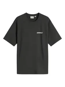 Футболка Ice axe family 3.0 Gramicci, серый