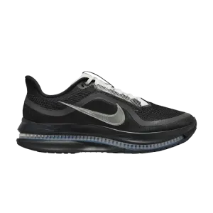 Кроссовки Nike Pegasus Premium SP, Black Metallic Silver
