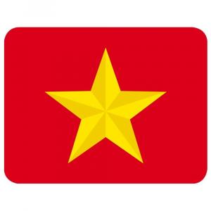 Аксессуары Battlefront Miniatures Flames of War: Vietnam - PAVN Objective