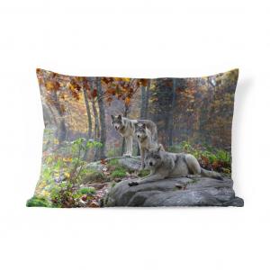 Уличная подушка MuchoWow - Волки - Камень - Лес - 60x40 см - Устойчивость к атмосферным воздействиям - Подушка для отдыха - Чехлы для подушек - Декоративные чехлы для подушек - Декоративные чехлы для подушек, мультиколор