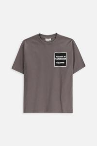 Детская хлопковая футболка Coccodrillo, серый