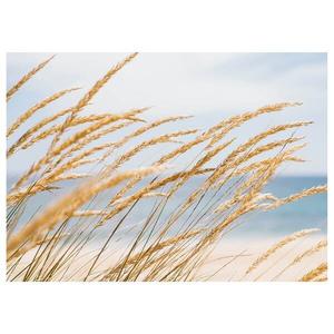 Картина на холсте A.S. Création Strand Dune Grass цвет blau /beige