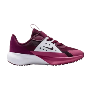 Кроссовки Nike Sonic Fly PS 'Bordeaux Marrakesh'