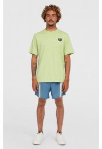 Футболка с принтом O'RIGINALS SURF SHOP T-SHIRT O'Neill, зеленый