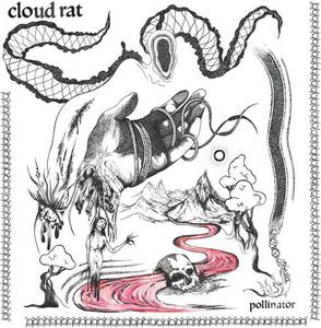 Виниловая пластинка Cloud Rat: Pollinator