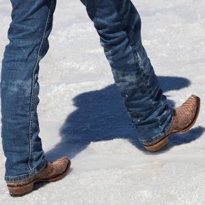 Мужские коричневые сапоги Corral из питона ручной работы, Вестерн-сапоги с узким носком и вышивкой на голенище из овчины Corral Boots