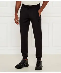 Спортивные штаны Regular fit Ea7, черный