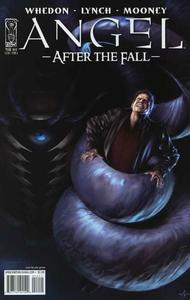 Angel: After the Fall #14 (IDW Publishing)