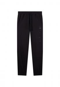 Обычные брюки Champion Authentic Athletic Apparel, черный