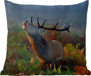Подушка для улицы Олень, Лес, Туман, 45 x 45 см, водонепроницаемая, подушка для отдыха, фотоподушка, декоративная подушка MuchoWow