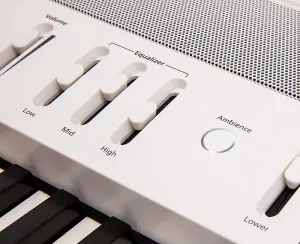 Цифровое пианино Roland FP-60X - белое