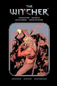 The Witcher Library Edition Volume 3 (Dark Horse Books)