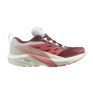 Кроссовки Wmns Sense Ride 5 GORE-TEX Salomon, розовый