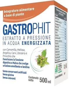 Гастрофит 500 мл Avd Reform