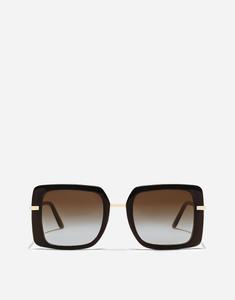 Солнцезащитные очки DNA DOLCE & GABBANA, коричневый