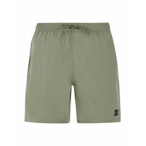 PROTEST Плавки-шорты Протест Пртбаки