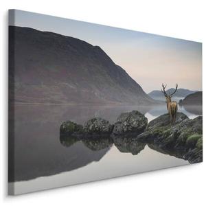 Картина на холсте Muralo Hirsch See Landschaft 3D, 90x60x60 см цвет schwarz/blau/braun/weiß