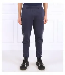 Спортивные штаны regular fit Ea7, темно-синий