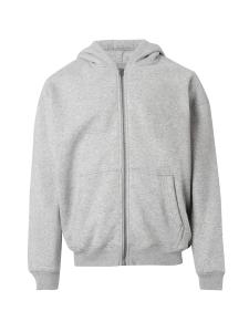 Толстовка с капюшоном на молнии HOLLISTER, светло-серый