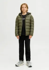 Зимняя куртка Jack & Jones Junior, Grape Leaf
