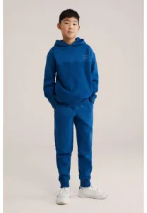 Спортивные штаны We Fashion, Blue