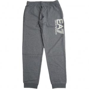 Emporio Armani Вязаные спортивные штаны мужские, серые