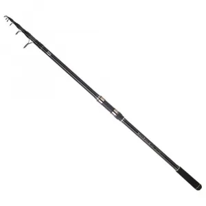 Спиннинг Daiwa Black Widow Multi, серебряный