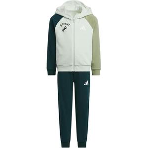 Детский спортивный комплект Casual Sportswear LK GFX FZHD из 2 предметов Adidas, светло-зеленый/синий