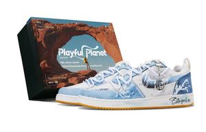 Кроссовки для скейтбординга Court Borough Abrasion Resistant низкие мужские Sea Blue Nike, Sea синий