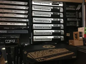 Moog One 8-голосный полифонический аналоговый синтезатор  //ARMENS//