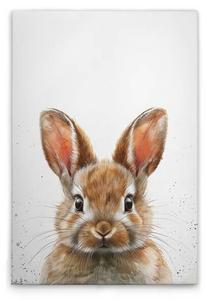 Картина на холсте A.S. Création Brown Baby Bunny цвет weissbraunbeige