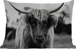 Подушка для улицы - шотландская горная корова - трава - животные - природа - 50 x 30 см - водонепроницаемая - подушка для отдыха - подушка для дивана - украшение для гостиной MuchoWow