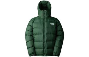 Пуховик мужской зеленый The North Face, зеленый