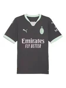 Футболка AC Milan 24/25 Puma, серый