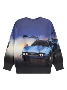 Толстовка с графичным принтом Molo, синий