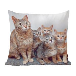 MuchoWow Декоративная подушка Диванная подушка Декоративная подушка для гостиной 45 x 45 см Кошка - Котенок - Мех - Чехлы на подушки - Декоративные чехлы на подушки - Декоративные чехлы на подушки