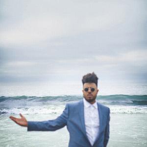 CD диск Blu: The Color Blu(e)