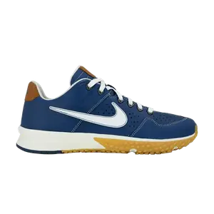 Кроссовки Baseballism x Alpha Huarache Flag Turf 2 'Photo Blue', синий