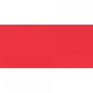 Глянцевая помада Slim Lip Color Shine - 09 г Tom Ford